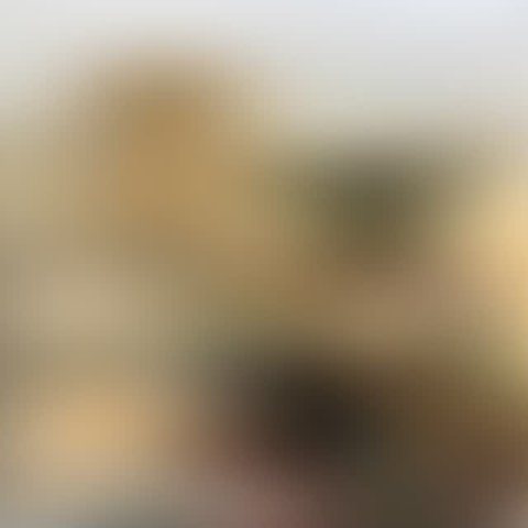 ✨ Kleine Details, große Wirkung ✨ Entdecke unsere liebevoll ausgewählte Deko für dein Zuhause – von stilvoll & modern bi...